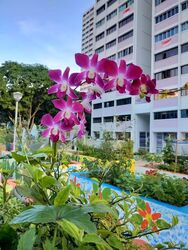 Blk 522 Jurong West Street 52 (Jurong West), HDB 5 Rooms #528726151
